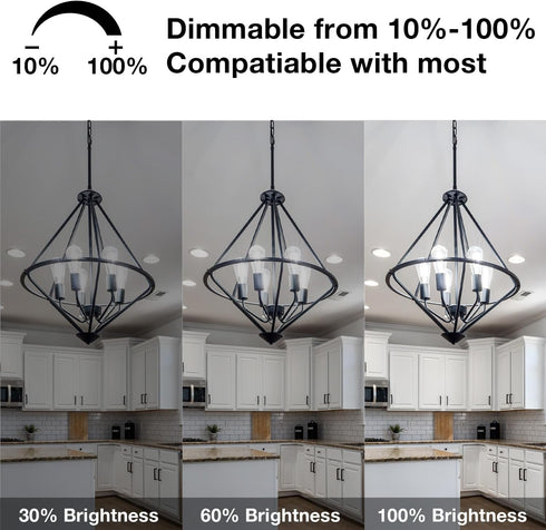 6 Pack Bulbs, E26 Dimmable Bulb, 60 ST58 Bulbs 5000K, 8W, 800LM, 80+ DAYBETTER Vintage LED Edison LED watt Equivalent