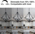 6 Pack Bulbs, E26 Dimmable Bulb, 60 ST58 Bulbs 5000K, 8W, 800LM, 80+ DAYBETTER Vintage LED Edison LED watt Equivalent