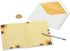 Papyrus Blank Card for Her - Sunflower Girl Design