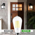 FAGUANGAO ST64 LED Dusk to Dawn Light Bulbs Outdoor,6W 60W Equivalent,2700K Warm White,650 Lumens E26 Edison Filament Photocell Sensor Bulb,Auto On/Off Vintage Bulbs for Porch,Patio,Garage,4 Pack by FAGUANGAO