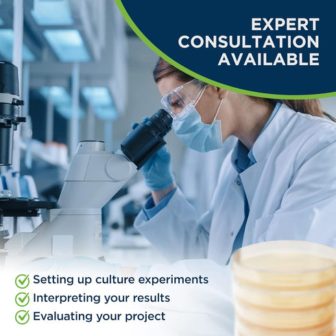 Evviva Sciences Potato Dextrose Agar Petri Dishes, Prepoured for Mushrooms, Home Test Kit, Science Fair