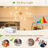 E26 Bulb, 98, 5W E26 Bulb, 3000K, C37 40W Non-dimmable 2 Pack DiCUNO ProOE Eye-Protected LED High CRI Candle Warm White
