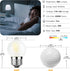 Dimmable 3W LED Bulb Equivalent 25 Watt Light Bulbs, Daylight 5000K, E26 Medium Base, Frosted, 300 Lumens, CRI 90+, G40 3 Watt Edison Bulbs for Nightstand Light Bulb, Refrigerator, 4-Pack by Sphoon