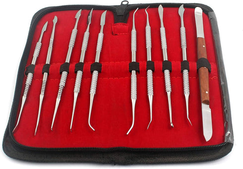 OdontoMed2011 Dental LAB Equipment 'Wax Carver Set, 10 PCS/Set Dental Dentist Sculpture KIT ODM
