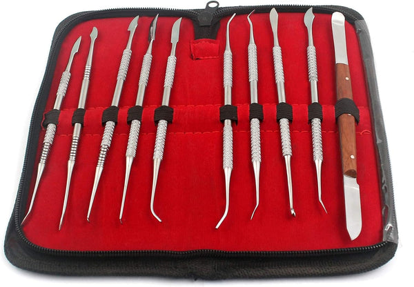OdontoMed2011 Dental LAB Equipment 'Wax Carver Set, 10 PCS/Set Dental Dentist Sculpture KIT ODM