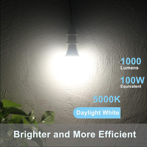 Dusk to Dawn Light Bulbs, 1000 Lumen, Daylight, LED 12W, A19 E26, 2-Pack, HQ-H023