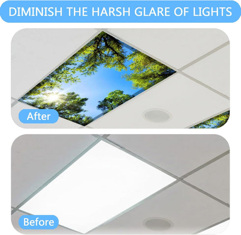 CASYUNE 2pcs 4 2 (Summer) Fluorescent Light Covers - Light Covers for Ceiling Lights Classroom Magnetic Light Filters