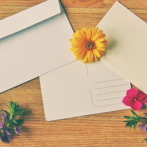 YOKIVE 12pcs Gift Card Envelopes - 10x7cm Mini Envelopes for Thank You Cards, Graduation, Wedding, Birthday (Pink)