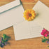 YOKIVE 24pcs Gift Card Envelopes, 11x8cm Mini Envelopes for Thank You Cards, Graduation, Wedding, Birthday - Black