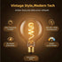 G125/G40 Bulb 2200K Dimmable Bulb,6W E26 Bulb 1Pack Large Vintage Oversized LED Edison Amber Glass Warm White Light