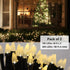 2 Pack 200 80ft Solhice Solar String Lights for Outside, LED Total Solar Powered String Lighting Outdoor Waterproof