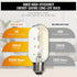 Fishbone LED Filament Vintage Edison Light Bulbs, T45/T14 E26 4W Antique Tubular, 400LM 4000K, 6 Pack