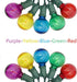 SUNSGNE 25 Pack G40 LED Christmas Replacement Globe Light Bulbs, 0.6 Watt Multicolor LED Bulbs, E12 Candelabra Base,