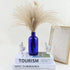 12 Pack 8 oz Cobalt Blue Glass Bottles, 240ml Boston Round Sample Bottles with Black Poly Cone Caps, Labels & Funnels