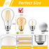 Dimmable E26 G16.5 Bulb 25W 3W Bulbs,G16.5/G50 Bulbs Bulbs 2200K,180LM,6 Pack Vintage Amber LED Light Equal Short Light