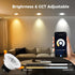 YASIZESOU 2 inch 5W Dimmable 2700-6500K 110V Driver,1 Pack Smart LED Recessed Lighting, WIFI Recessed LED Lights, RGB
