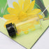 0.3 Oz Clear Glass Vials with Screwcap Empty Bottles for Liquid Sample Pack of 10