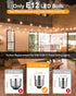GLUROO LED String Light Bulbs, ST38 Shatterproof LED Replacement Bulbs for Outdoor String Lights Eidison Bulb fits E12 C7 Screw Base, 1Watt Equvanlent to 7Watt Incandescant Bulbs, Warm White, 4 Pack by GLUROO