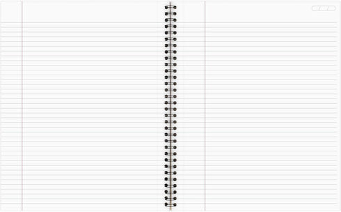 Cambridge Limited Business Notebook, Legal Ruled, 8-1/4" x 11", 80 Sheets, Soft Touch Flexible Cover, Wirebound, Gray