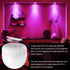 LGMCF Bulb E26 2Pack 6W 450LM Dimmable Bulb 15 3 2500mAh Bulbs, Bulbs Rechargeable Light with Remote - Detachable LED