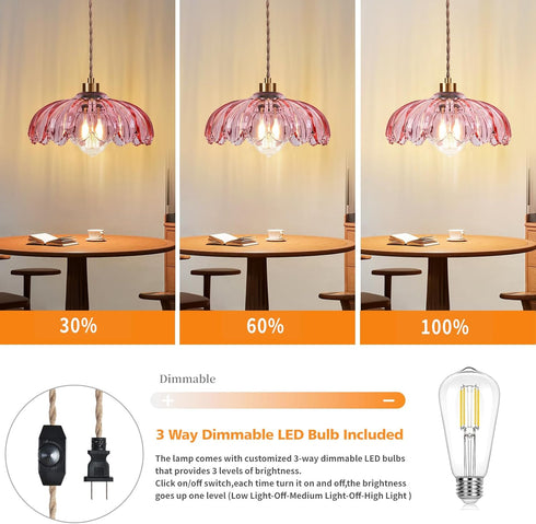 Dimmable QIYIZM Pink Plug in Pendant Light Hanging Lights with Plug in Cord Boho Hanging Lamp Glass Gold Mid Century