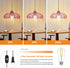 Dimmable QIYIZM Pink Plug in Pendant Light Hanging Lights with Plug in Cord Boho Hanging Lamp Glass Gold Mid Century