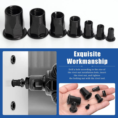 Glarks 250pcs Set M3 M4 M5 M6 M8 M10 M12 Thread Half Hexagonal Rivet Nuts Black Zinc Plated Carbon Steel Flat Head