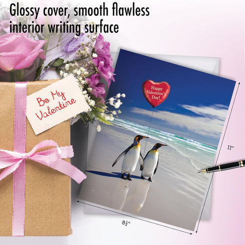 NobleWorks Big Animal Valentines Card with Envelope, Jumbo Notecard for Valentine's Day, Beach Penguins J3514VDG