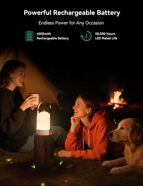 4000mAh 4-Level Dimmable Tubicen Outdoor Table Lamp Waterproof Portable Camping Lantern Brass Battery Rechargeable Lamp