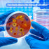 200 Pack Sterile Plastic Petri Dishes - 90mm Dia x 15mm Deep Clear Thick Science Dish Lab Cell Culture Dishes for Lab