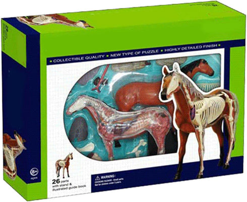 NEXAVKPR Realistic Horse Organ Model Medical Teaching Toy, Horse Anatomy with Detachable Organs for Dissectible Organ