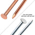 12 Pcs 4 Inch Long Copper Nails Spikes for Tree Killing, Stump Removal with 1 Pcs Steel Nails, Storage Box Included