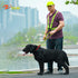 zojo Reflective Vest Pack of 10, Adjustable Lightweight Safety & High Visibility for Running, Neon Yellow