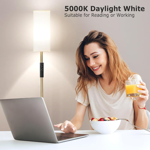 64'' Dimmable Ambimall Floor Lamps for Living Room with Remote Control and Stepless Colors Temperature & Brightness