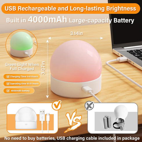 E12 4000mAh Bulb Dimmable, 3 Temperature+12 Bulbs 2 Pack TAIYALOO Rechargeable Lamps, Battery Backup with Remote