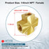 Midanya 1/4 x 1/4 x 1/4 x 1/4 Inch NPT Female Thread Adapter, Cross Pipe Fitting Barstock Cross 4 Way Connector Brass