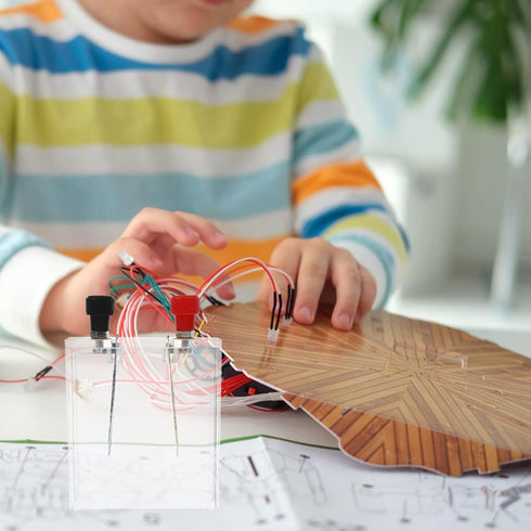 BETOOKY Primary Battery Experimenter Kit with Copper, Iron, Zinc Electrodes Science Experiment Supplies for Classroom