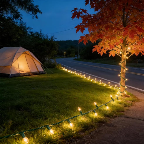 150 Commercial 50 LUCKY SHINE LED Warm White Christmas Lights, UL Certified and Grade Green Wire String Lights Ft