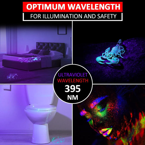Beieverluck 10 Pack 395nm UV Black Light Flashlight Mini Pen Light with Clip LED Handheld Blacklight Detector for Leak