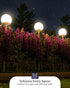 Sunco Lighting 12 LED A19 Light Lamp Bulbs, 9W Equivalent 60W, 3000K White for Indoor Use