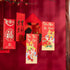KALLORY 36pcs Vietnamese Red Envelope, Cartoon Red Envelopes for Dragon Year 2024, New Year Money Bag & Pouch