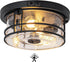 SAYTOP 2-Light Outdoor Ceiling Light with Motion Sensor Flush Mount Round Porch Light, Industrial Dusk to Dawn Ceiling