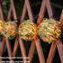 TWINKVILLA 10 Decorative Lantern String Lights, Outdoor Plug in Hanging Lights with Natural Hemp Rope Leaf Balls
