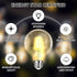 2PCS G125 Bulbs 8w 60 watt,E26 Bulb Lightbulbs 2700k 2PCS) Globe LED Light Equivalent Large Decorative Edison Light