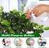 Empty Clear Plastic Spray Bottles 13.5oz/400ml, Adjustable Nozzle Mist/Stream Heavy Duty Plant Mister Spray Bottle