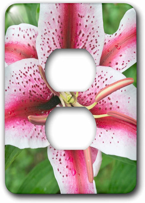 3dRose lsp_209387_6 USA, Washington, Bellevue, Lily 2 Plug Outlet Cover