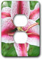 3dRose lsp_209387_6 USA, Washington, Bellevue, Lily 2 Plug Outlet Cover