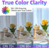 G16.5 Bulb Dimmable, 6W, 60 4000K E26 Bulb, Bulbs 90+CRI 600LM, 6 Pack GvvooHome LED watt Equivalent, Neutral White