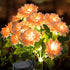 2 Pack Solar Lights Outdoor Waterproof, Garden Decor with 14 Realistic Dahlias/Zinnia, Solar Powered Outdoor Lights