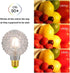 VicFlora G95 Bulb 4W 2700K Dimmable 40W E26 Pack 2 LED Pineapple Retro Edison Lamp Warm White Light Not Equivalent